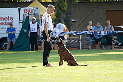 Hunter vom Hollermorgen