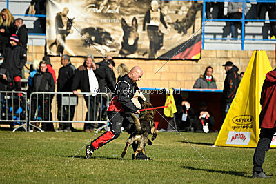 Hunter zu den grauen Birken