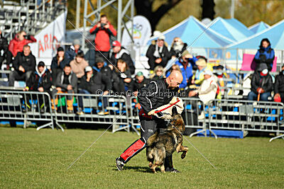 Hunter zu den grauen Birken