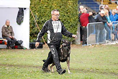 Hutch von Black Grey
