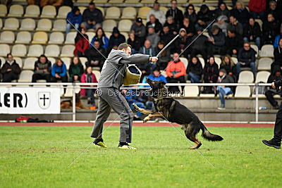 Hutch von Black Grey