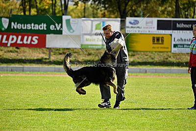 Hyperion von den Donnersöhnen