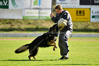 Hyperion von den Donnersöhnen