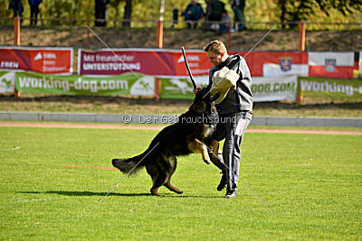 Hyperion von den Donnersöhnen