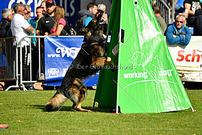 Hyperion von den Donnersöhnen