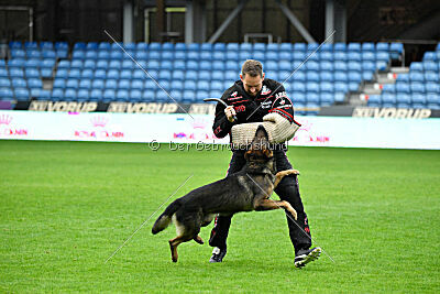 Iannys z Lomeckeho polesi