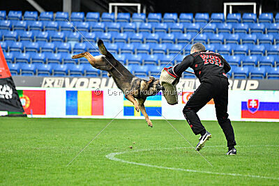 Iannys z Lomeckeho polesi