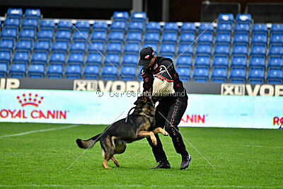 Iannys z Lomeckeho polesi