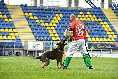 Iannys z Lomeckeho polesi