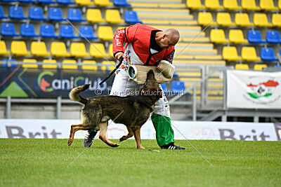 Iannys z Lomeckeho polesi