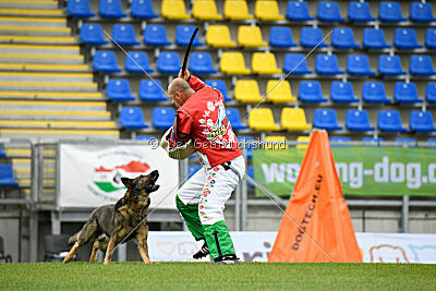 Iannys z Lomeckeho polesi