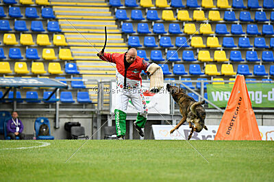 Iannys z Lomeckeho polesi