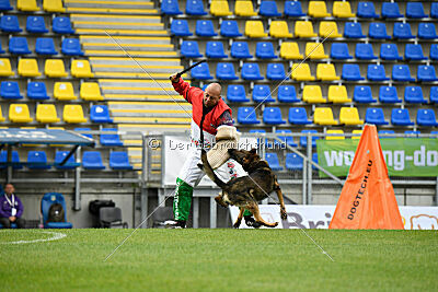 Iannys z Lomeckeho polesi