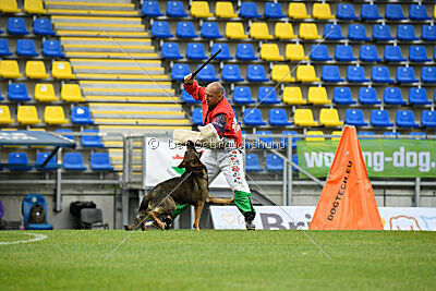 Iannys z Lomeckeho polesi