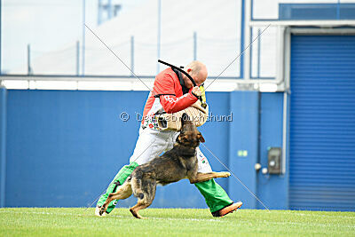 Iannys z Lomeckeho polesi