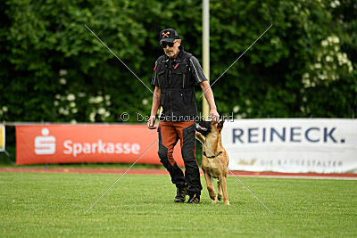 Iban vom Streitwald