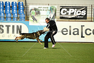 Iben vom Wällerhorst