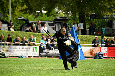 Ibiza vom Keilerberg