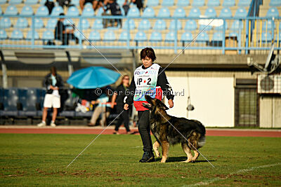 Iceman von der Reichen Wiese
