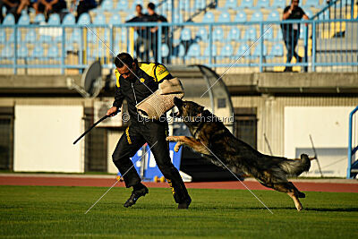 Iceman von der Reichen Wiese