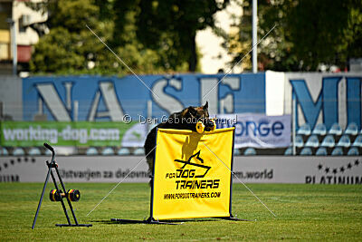 Iceman von der Reichen Wiese