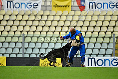 Iga Hanzo vom Haus M.1