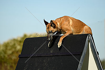 Ike Airport Hannover