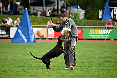 Imalah vom Hexenzauber