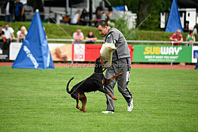 Imalah vom Hexenzauber