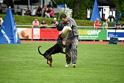 Imalah vom Hexenzauber