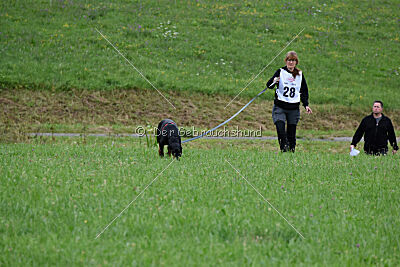 Imalah vom Hexenzauber
