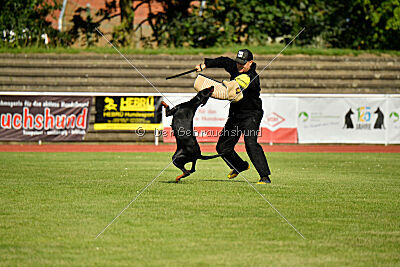 Imalah vom Hexenzauber