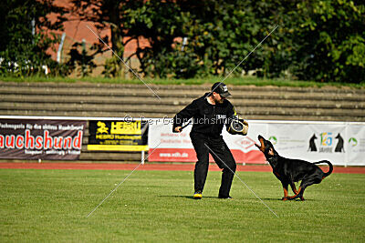 Imalah vom Hexenzauber