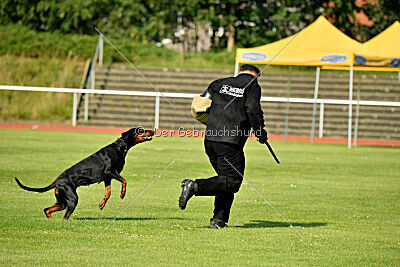 Imalah vom Hexenzauber