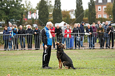 Immo von der Ellerbachbrücke