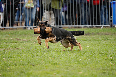 Immo von der Ellerbachbrücke