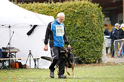 Immo von der Ellerbachbrücke