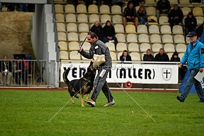Immo von der Ellerbachbrücke