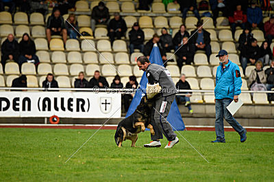Immo von der Ellerbachbrücke
