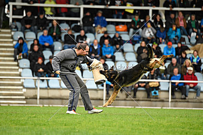 Immo von der Ellerbachbrücke