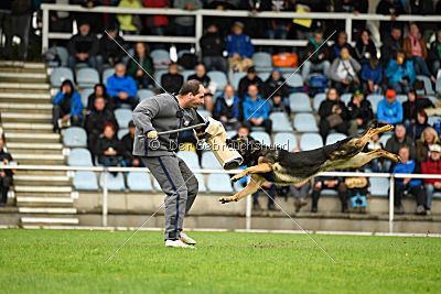 Immo von der Ellerbachbrücke