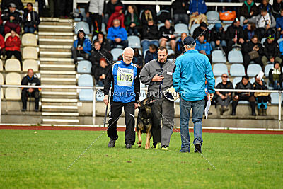 Immo von der Ellerbachbrücke