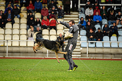 Immo von der Ellerbachbrücke