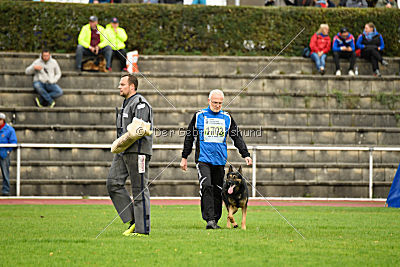 Immo von der Ellerbachbrücke