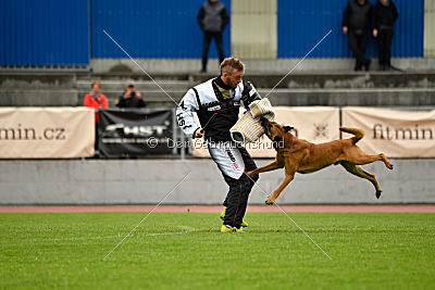 Independent Spirit's Iloy