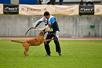 Independent Spirit's Iloy