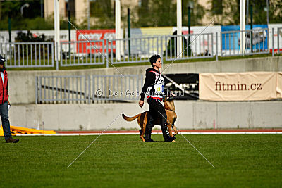 Independent Spirit's Iloy