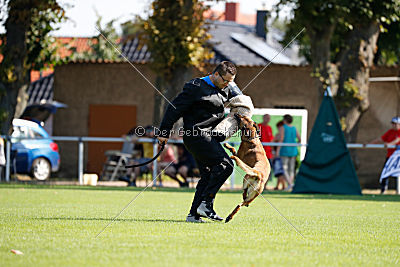 Independent Spirit's Isidora