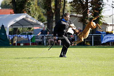 Independent Spirit's Isidora