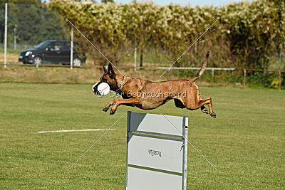 Independent Spirit‘s Maiden